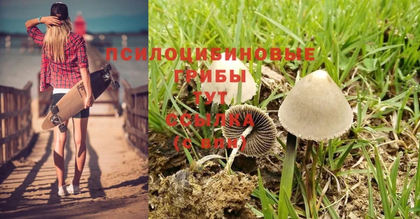 кокаин премиум Алзамай